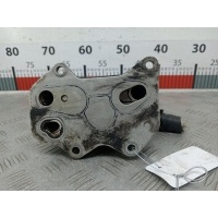 Теплообменник Seat Leon 2 (1P) (2005-2012) 2007 06D117021C,06D117021C