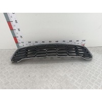 Решетка радиатора Mini Countryman (R60) (2010-2016) 2012