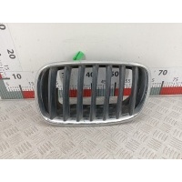 Решетка радиатора BMW X5 (E70) (2006-2013) 2012 ,5113-7171395