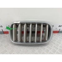 Решетка радиатора BMW X5 (F15) (2013-2018) 2015 ,1053410US