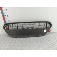 Решетка (заглушка) в бампер центральная Ford Focus 2 (2004-2011) 2010 ,8M5117B968A