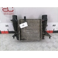 Интеркулер (радиатор интеркулера) Renault Modus (2004-2012) 2006 880591T,8200471888
