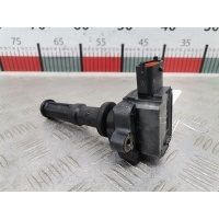 Катушка зажигания Ford Mondeo 3 (2000-2007) 2004 0221604006,1360553
