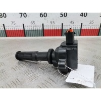 Катушка зажигания Ford Mondeo 3 (2000-2007) 2004 0221604006,1360553