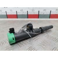 Катушка зажигания Renault Scenic 2 (2003-2009) 2005 216031219,7700875000