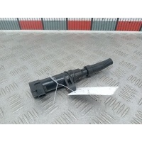 Катушка зажигания Renault Scenic 2 (2003-2009) 2004 156200,7700875000