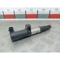 Катушка зажигания Renault Scenic 2 (2003-2009) 2004 78419001,7700875000
