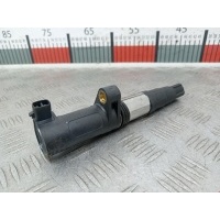 Катушка зажигания Renault Scenic 2 (2003-2009) 2004 78419001,7700875000