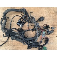 Проводка двигателя Opel Omega B 1999 1928401