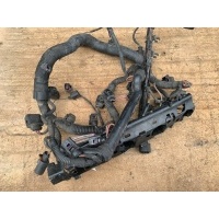 Проводка двигателя Skoda Octavia A5 restailing  2012  03C971824C