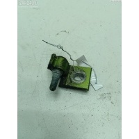 Петля двери задней правой Volkswagen Polo (1999-2001) 2001