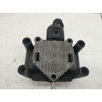 Катушка зажигания Volkswagen Passat B5+ (GP) 2003