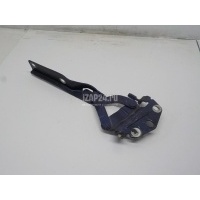 Петля капота правая VAG Passat [B6] (2005 - 2010) 3C0823302E