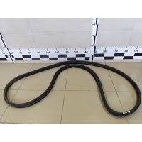 Уплотнитель двери RENAULT Megane II 2002-2009 8200077500