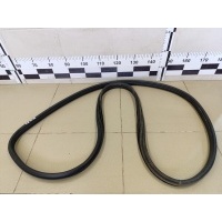 Уплотнитель двери RENAULT Megane II 2002-2009 8200077500