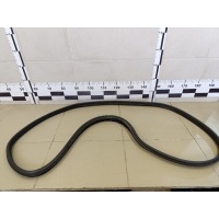 Уплотнитель двери RENAULT Megane II 2002-2009 8200077500