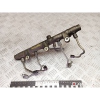 топливная рампа Citroen C5 2002 0445214019