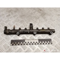 топливная рампа Hyundai H1 2 поколение 2008 0281002507,314004A440,0445214103