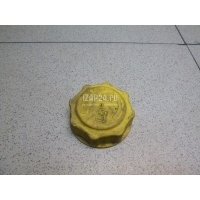 Крышка расширительного бачка Ford Fiesta (2001 - 2008) 7267969