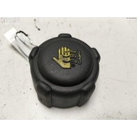Пробка расширительного бачка Renault Laguna II (2001-2007) 2003 8200048024