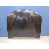 Капот BMW X3 F25 2010-2017 BM20031A