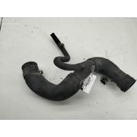 Патрубок радиатора Seat Toledo (1999-2004) 2002 1j0121087l