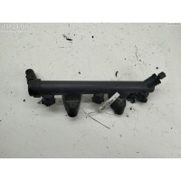 Рампа (рейка) топливная Skoda Fabia mk1 (6Y) 2005 03D133319F