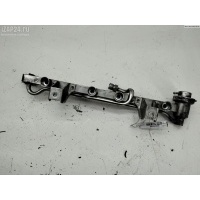 Рампа (рейка) топливная Volkswagen Passat B5+ (GP) 2001 0280160575