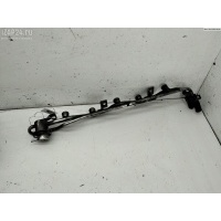 Рампа (рейка) топливная Seat Toledo (1999-2004) 2002 066133315E