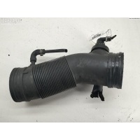 Гофра инжектора Seat Toledo (1999-2004) 2002 1c0129684p