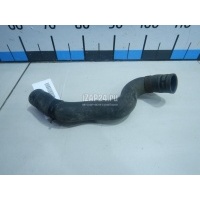 Патрубок радиатора Nissan Qashqai (J10) (2006 - 2014) 21503JD200