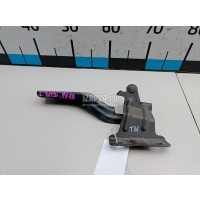 Петля капота левая Nissan X-Trail (T31) (2007 - 2014) 65401JG000
