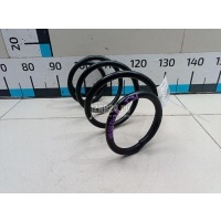 Пружина передняя Nissan X-Trail (T31) (2007 - 2014) 54010JG20D