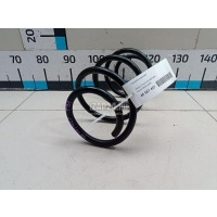 Пружина передняя Nissan X-Trail (T31) (2007 - 2014) 54010JG20C