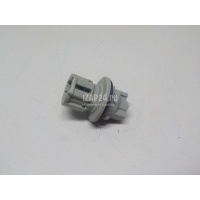 Патрон лампы Nissan X-Trail (T31) (2007 - 2014) 26243AA100