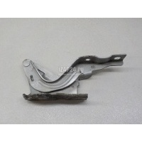 Петля капота левая Hyundai-Kia Santa Fe (CM) (2006 - 2012) 791102B000