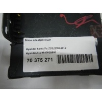 Блок электронный Hyundai-Kia Santa Fe (CM) (2006 - 2012) 954002B680