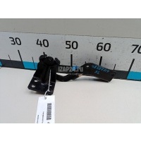 Петля двери багажника нижняя Mitsubishi Outlander XL (CW) (2006 - 2012) 5802A004