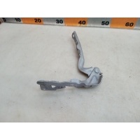 Петля капота Toyota Camry ACV40, GCV40, V40 2008 5342033180