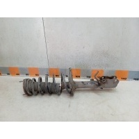 Амортизатор задний Toyota Camry ACV40, GCV40, V40 2008 4854039755