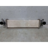 Интеркулер Exeed TXL 302000507AA