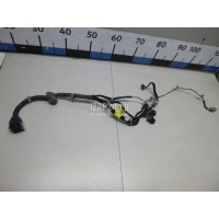 Проводка (коса) Hyundai-Kia Carnival (2005 - 2014) 916504D040