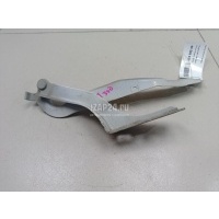 Петля капота правая Citroen-Peugeot 308 I (2007 - 2015) 791344