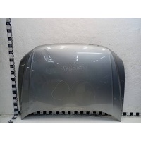 Капот Volkswagen Tiguan 2 Restail