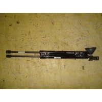 Амортизатор двери 81771-2W000 на Hyundai Santa Fe Hyundai 81771-2W000 81771-2W000