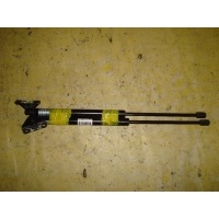 Амортизатор двери 81771-2W000 на Hyundai Santa Fe Hyundai 81771-2W000 81771-2W000