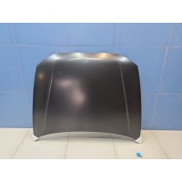 Капот Hyundai Accent ТАГАЗ 2000-2012 HN20014A