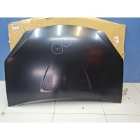 Капот Renault Sandero 2009-2014 STDC310150