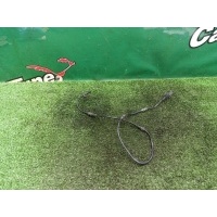 Датчик ABS Mercedes-Benz A W176 2013 A2465402510