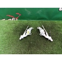 Петли капота BMW 3 E92 2011 41617210677